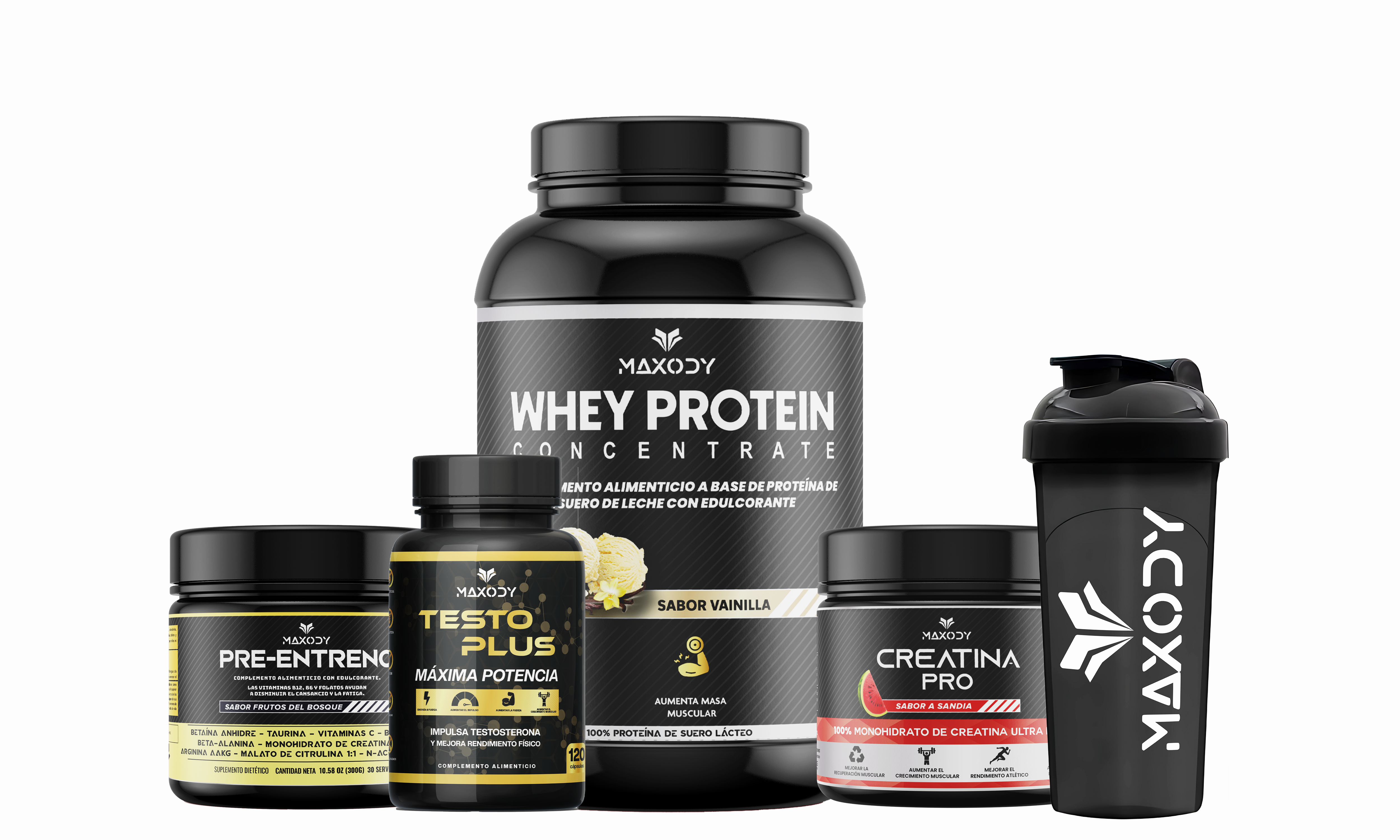 Programa Distribuidores MAXODY