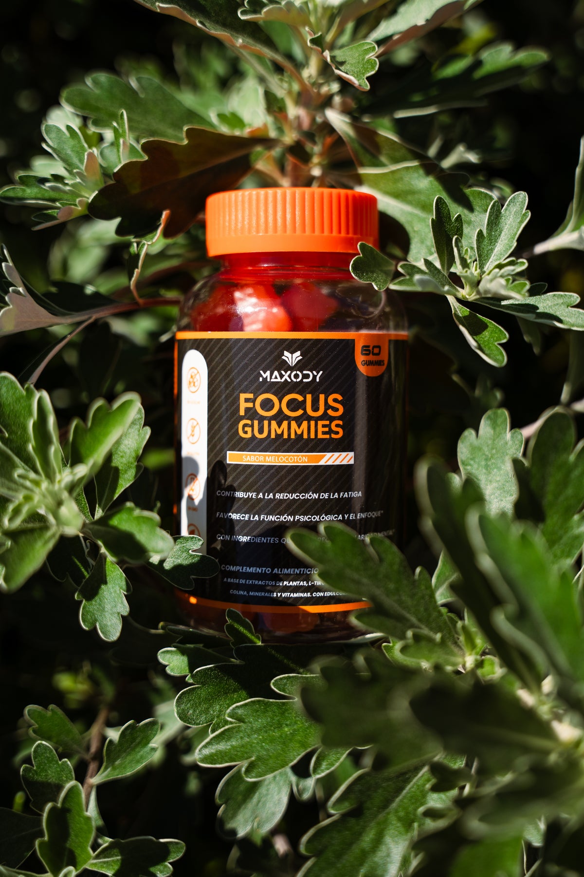 Focus Gummies para la Concentración y Memoria